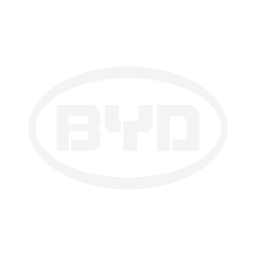BYD_2x